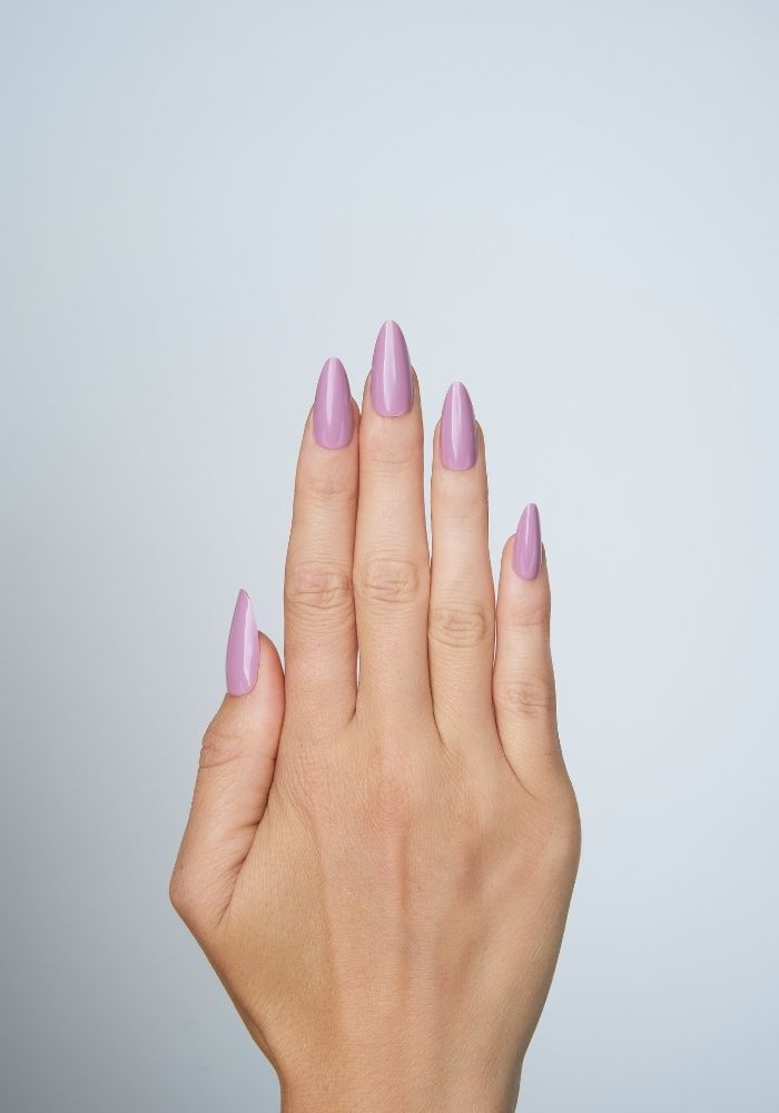 LAVENDER